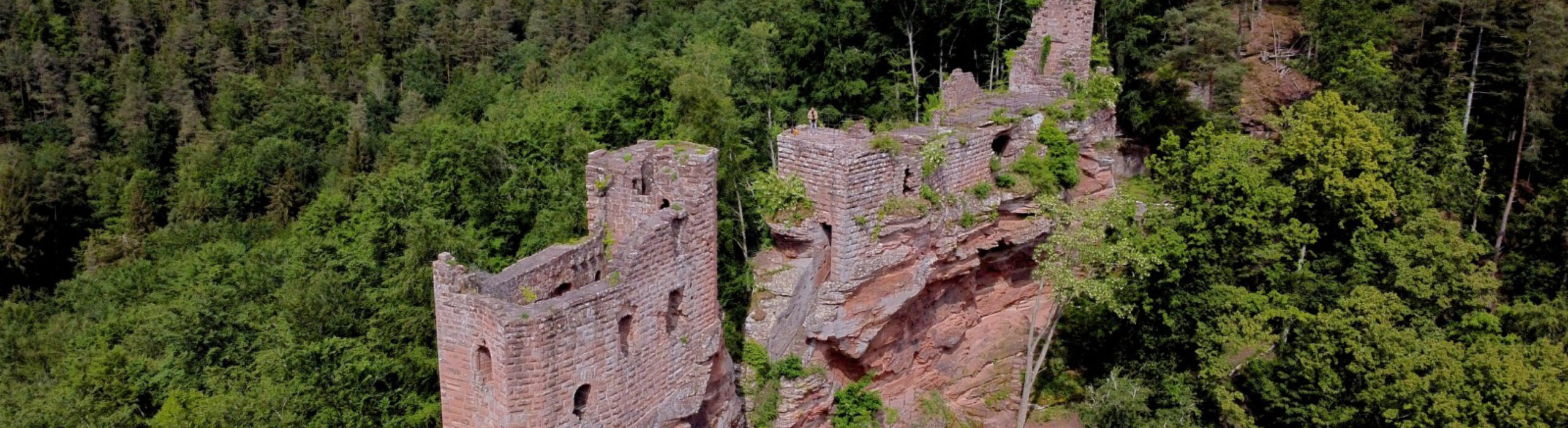 Profitez des navettes Fluo pour visiter le Château de Fleckenstein