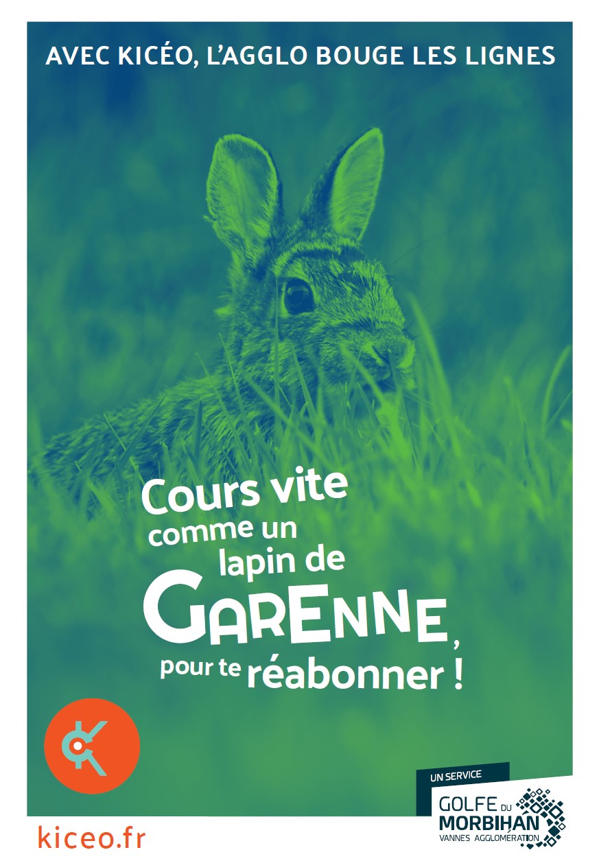 Visuel lapin recto Visuel lapin recto