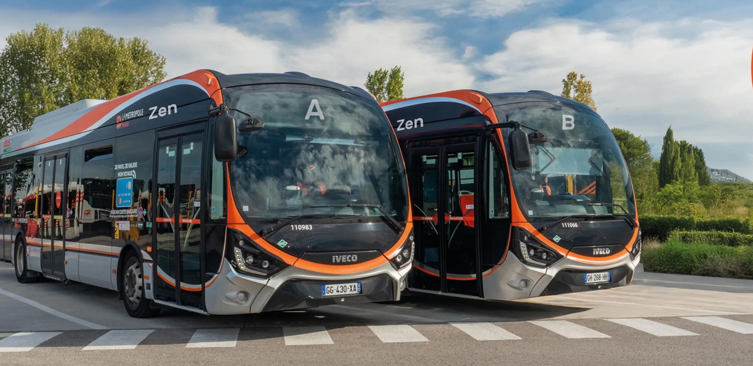 Les Zenibus