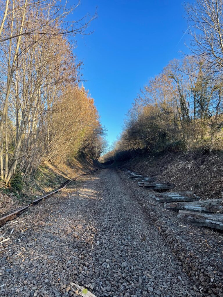 Réouverture de ligne ferroviaire Montréjeau - Luchon