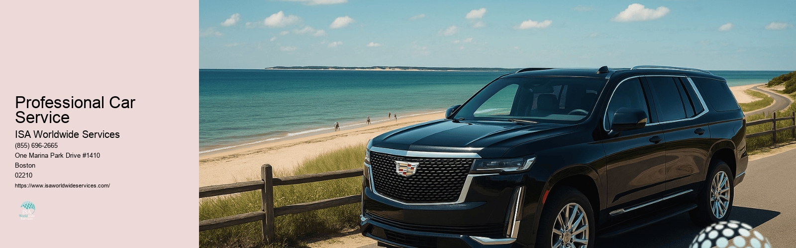 Professional Car Service