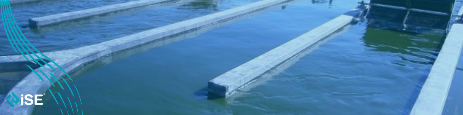 🌱 De aguas residuales a recursos valiosos: El caso de AQUALIA y su revolución en productividad ambiental