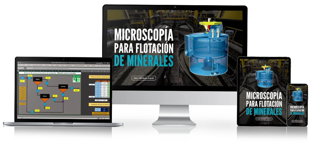 Especialización en Microscopía para Flotación de Minerales