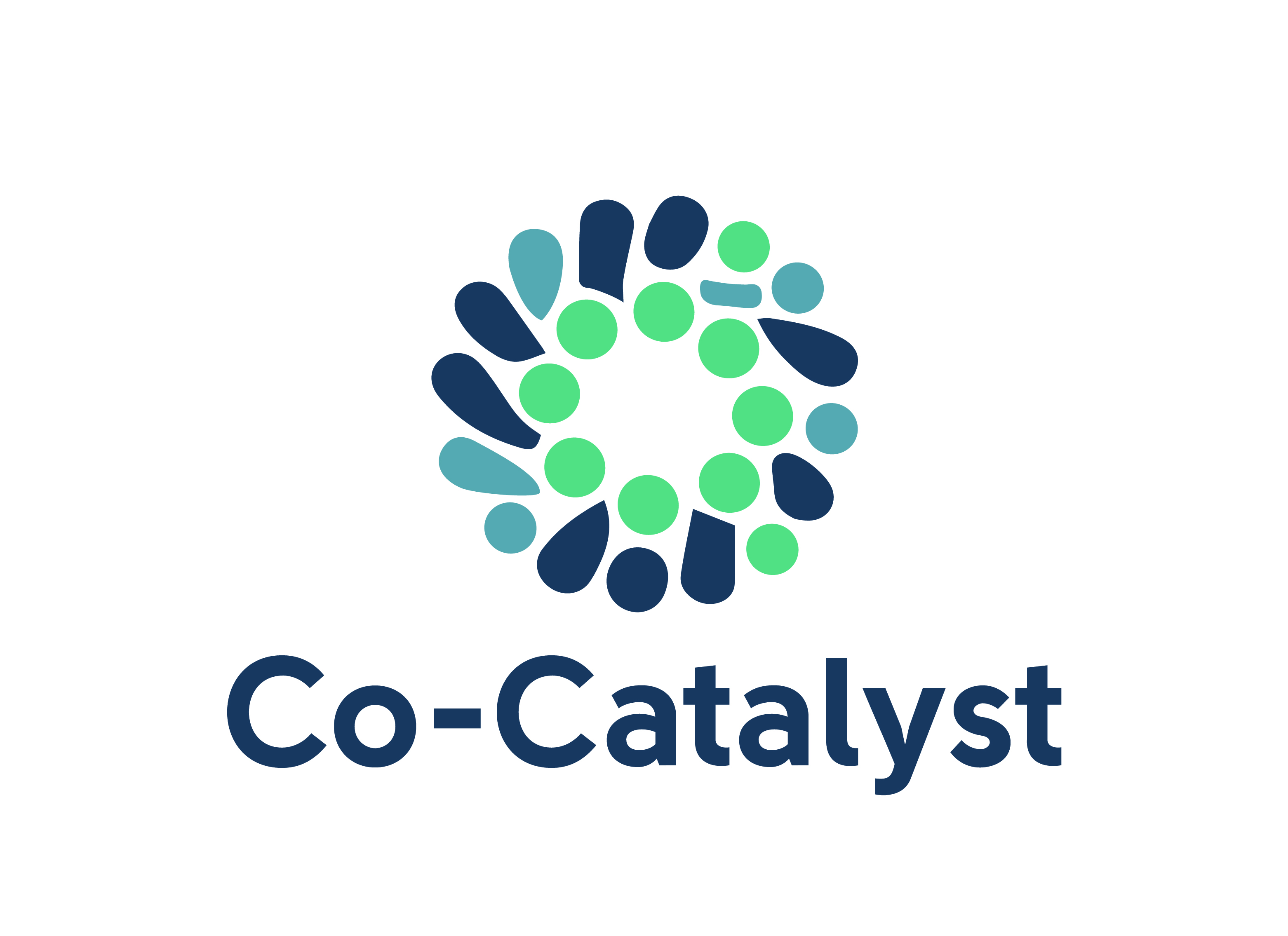 Co-Catalyst