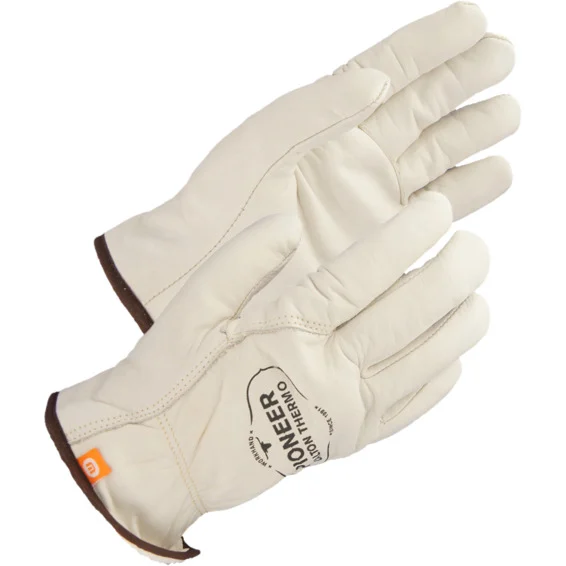 Pioneer Dalton Thermo Vinnuhanskar