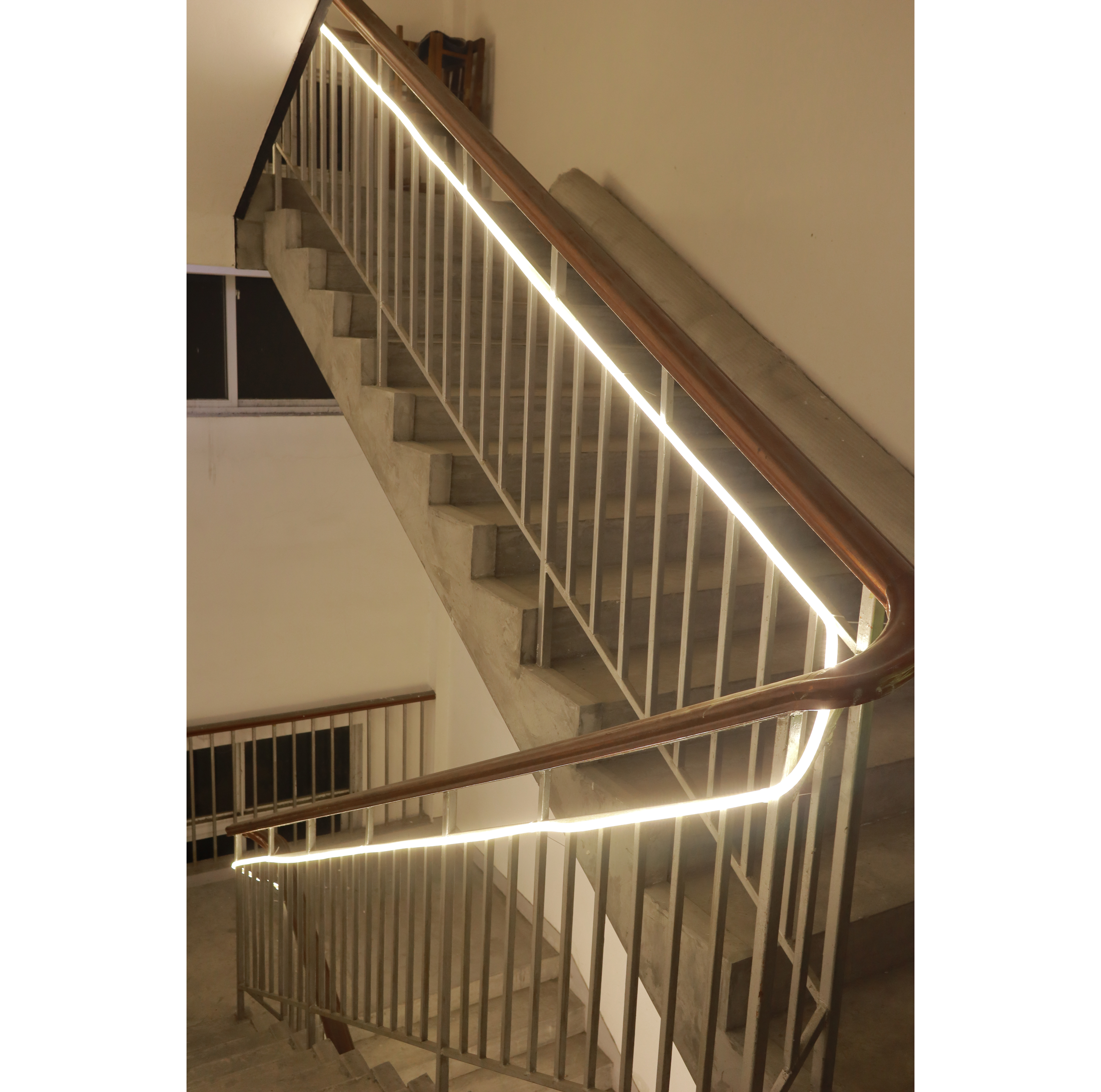 Ranceo LED Borði 5m IP65