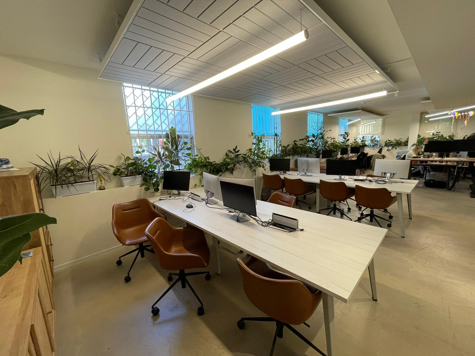 משרדים בקומת קרקע עם חצר על רחוב קפלן במתחם שרונה והסביבה תל אביב