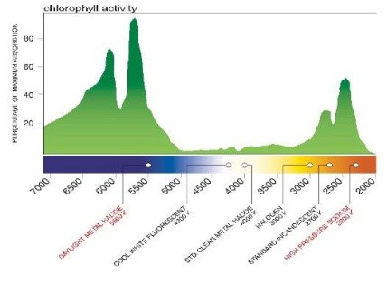 如何輕鬆獲得你的第一桶金：成功致富的關鍵策略