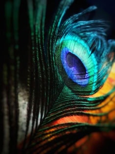 癌症險需要正本嗎？