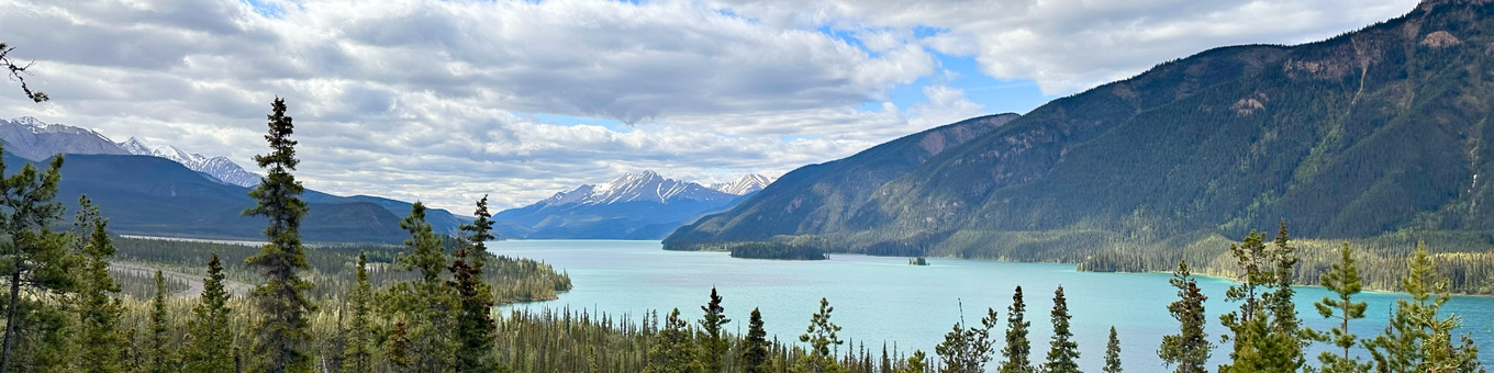 Yukon und Alaska - Coast Mountains des Nordens