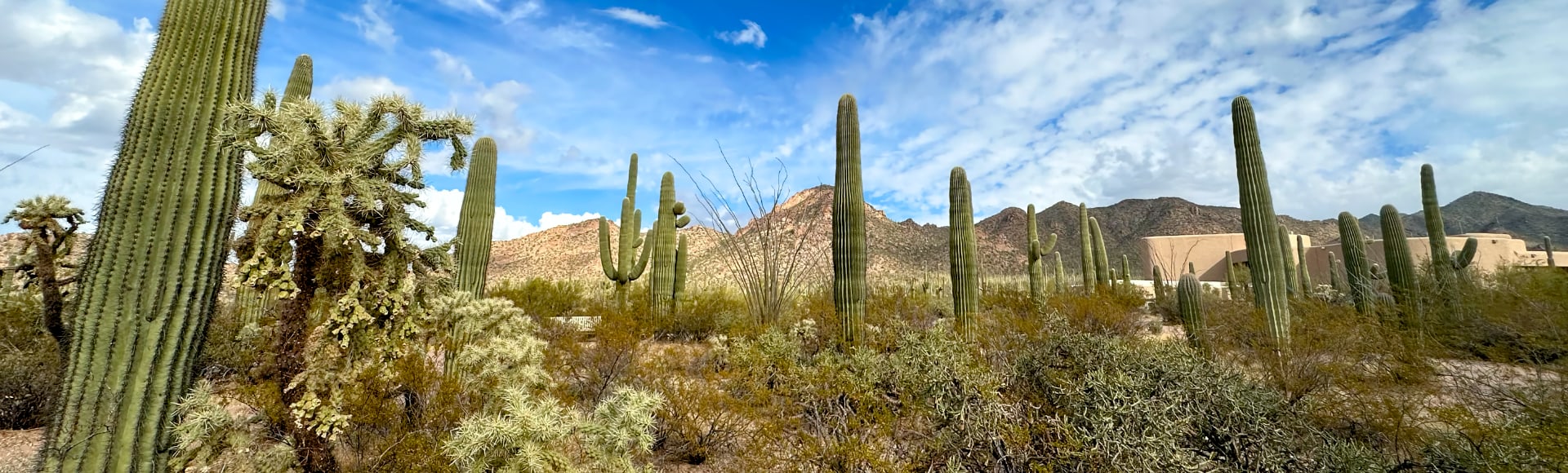 Mexiko - Naturreise Baja California