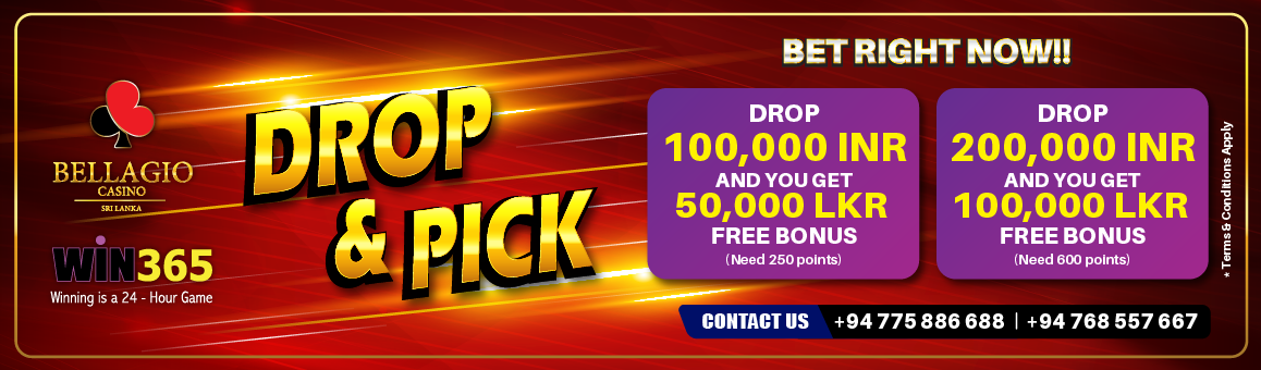 Win365casino | Entertain With Online Casino