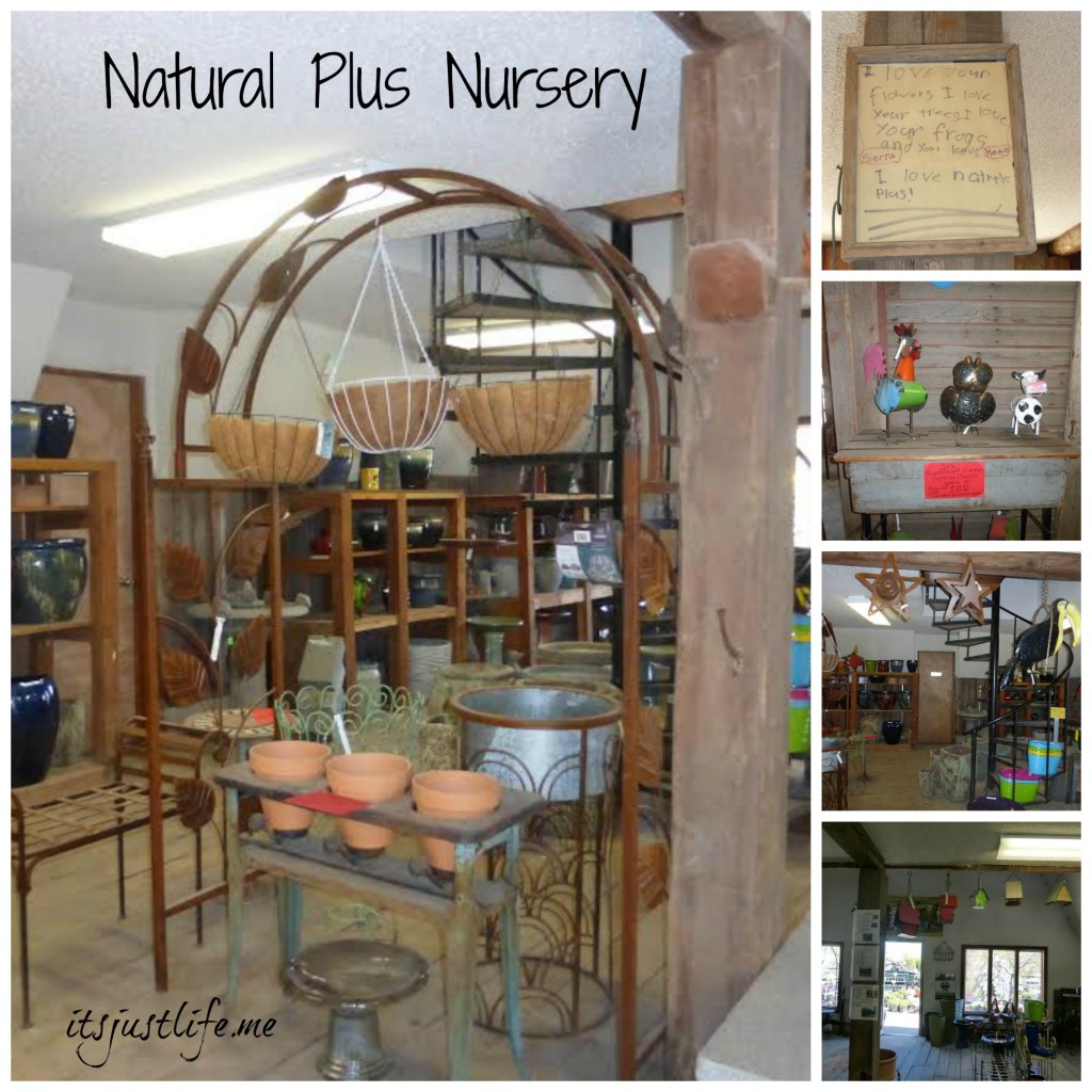 Natural Plus Nursery Collage