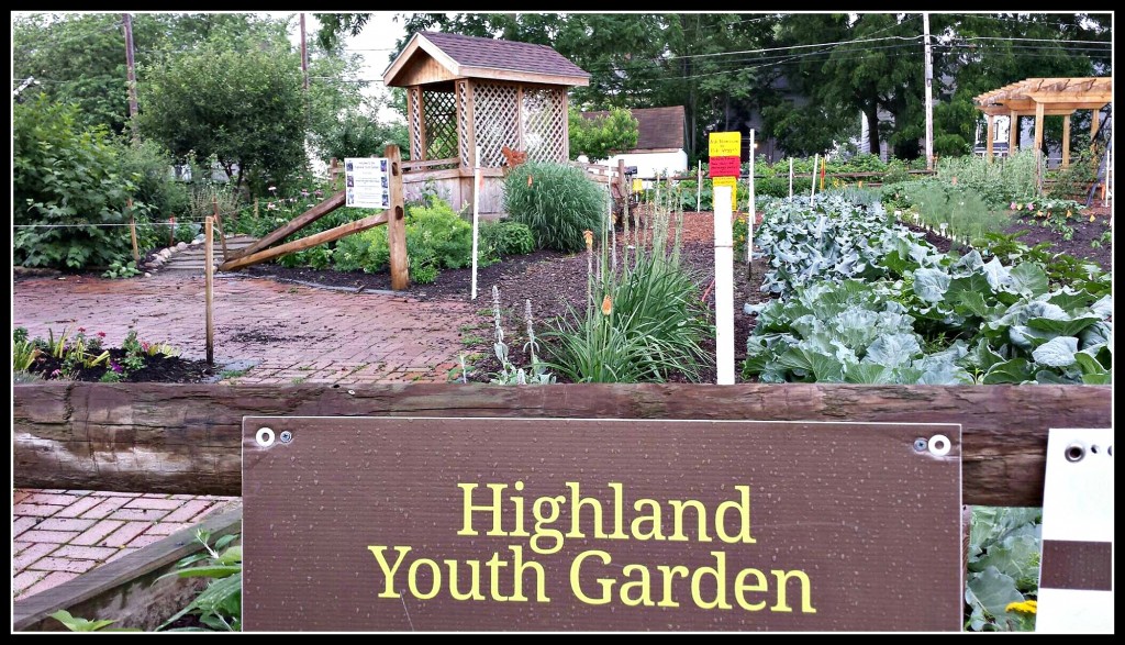 Image from Highland Youth Garden 