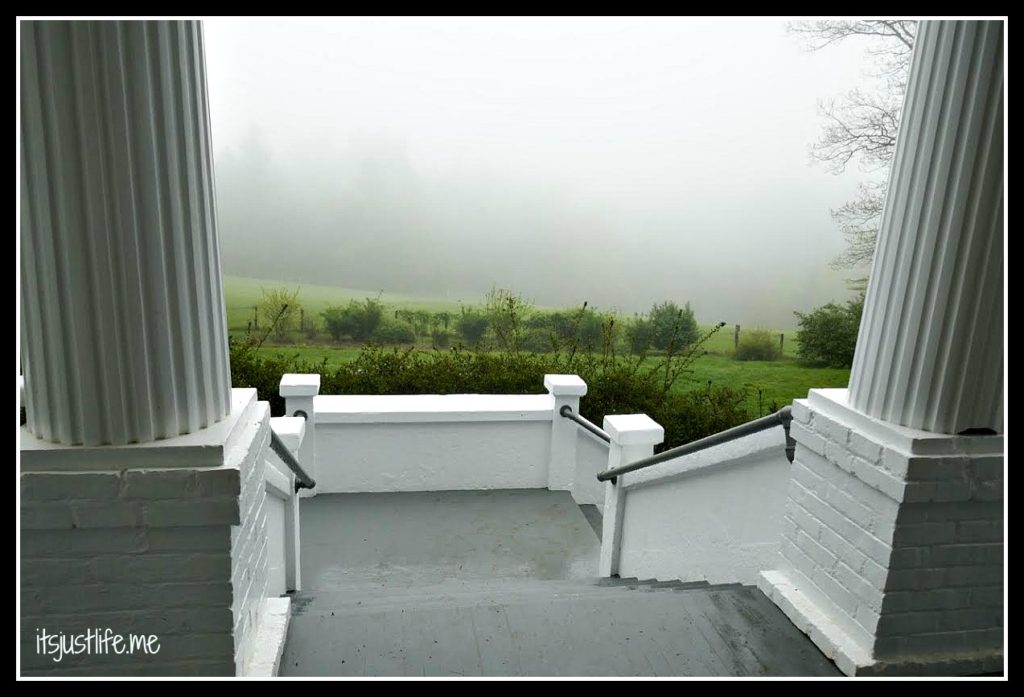 Perhaps Mr. Sandburg stepped out onto his porch to take in the view and instead of the mountains was greeted by a fog such as this.  I can totally understand how Fog came to be written if this was the case.
