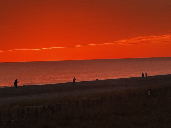 The Evolution of a Sunset - It's Just Life