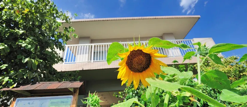 ウェルハイム・八王子｜東京都八王子市の高級老人ホーム（介護付き有料老人ホーム）