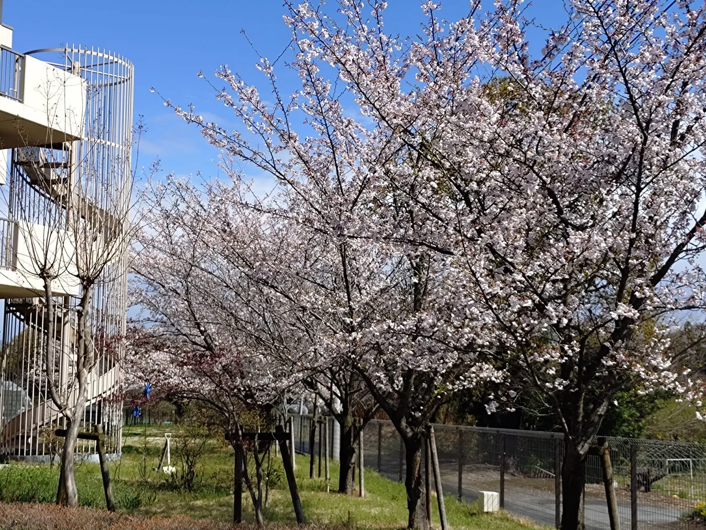 チャームスイート京王聖蹟桜ヶ丘｜東京都多摩市の介護付き有料老人ホーム（写真1）