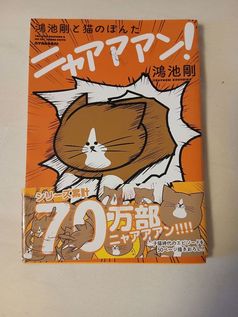 ニャアマン! 鴻池剛 70万部