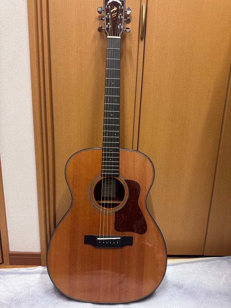 ヘッドウェイ　エレアコ　純正ギターケース付属！美品