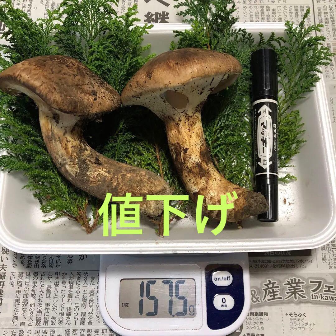 ③天然松茸　157g