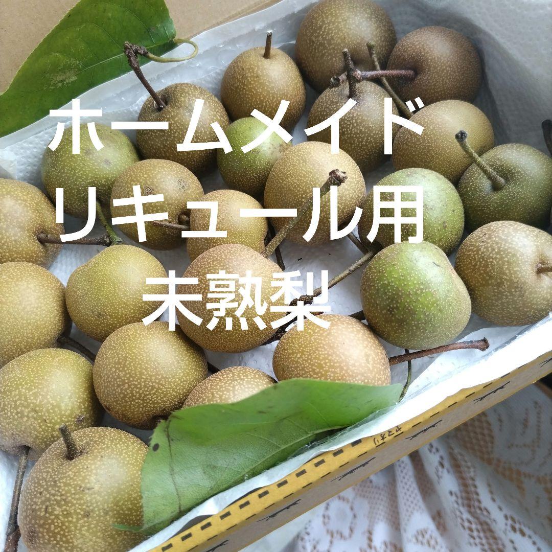 野生の梨？未熟の梨、ホワイトリカー漬け用