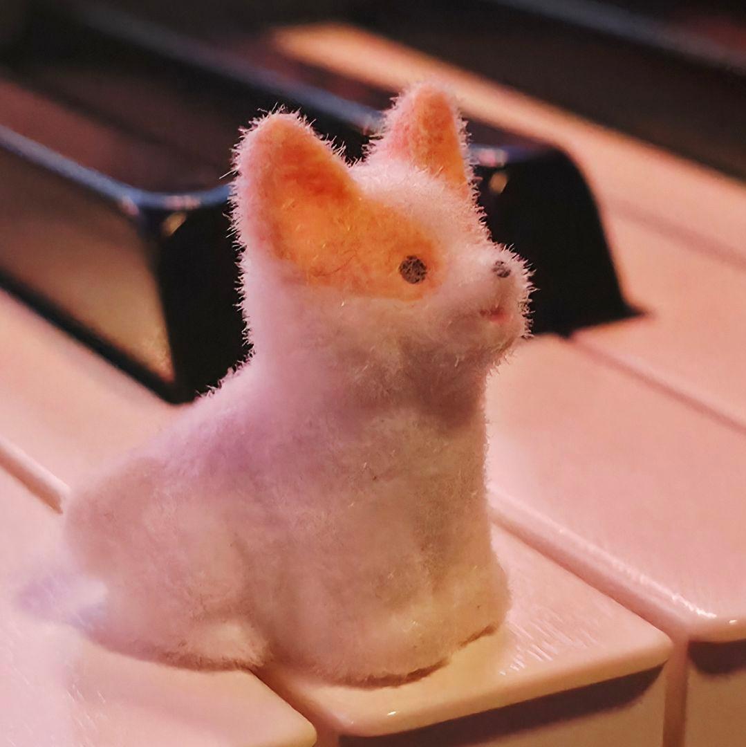 もこぷわ めじるしアクセサリー コーギー