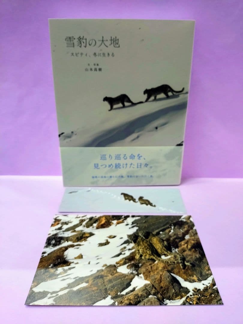初版 直筆サイン入り ポストカード付 山本高樹/雪豹の大地 スピティ、冬に生きる