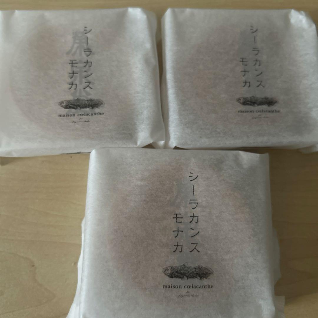 メゾンシーラカンス シーラカンスモナカ 3個セット