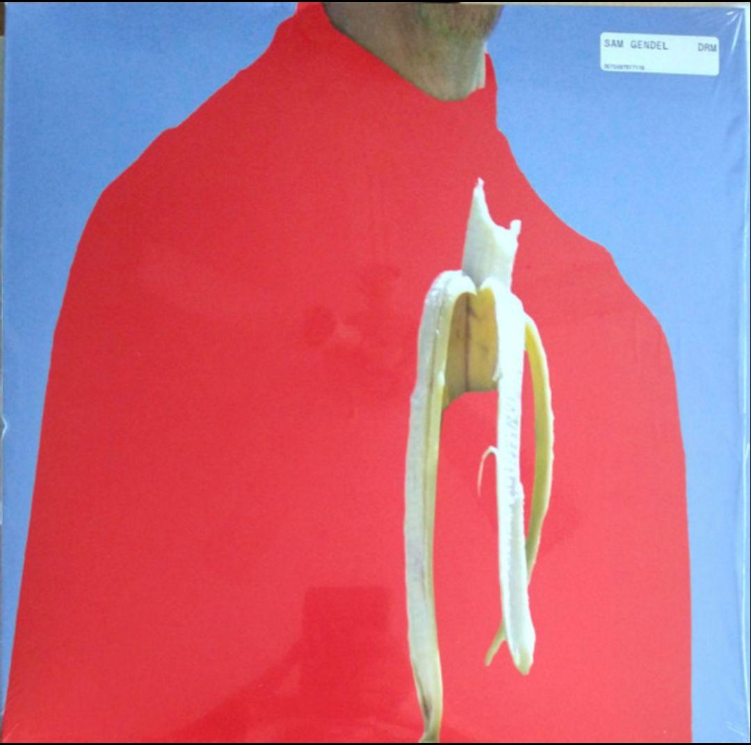 【美盤】Sam Gendel / DRM レコード LP