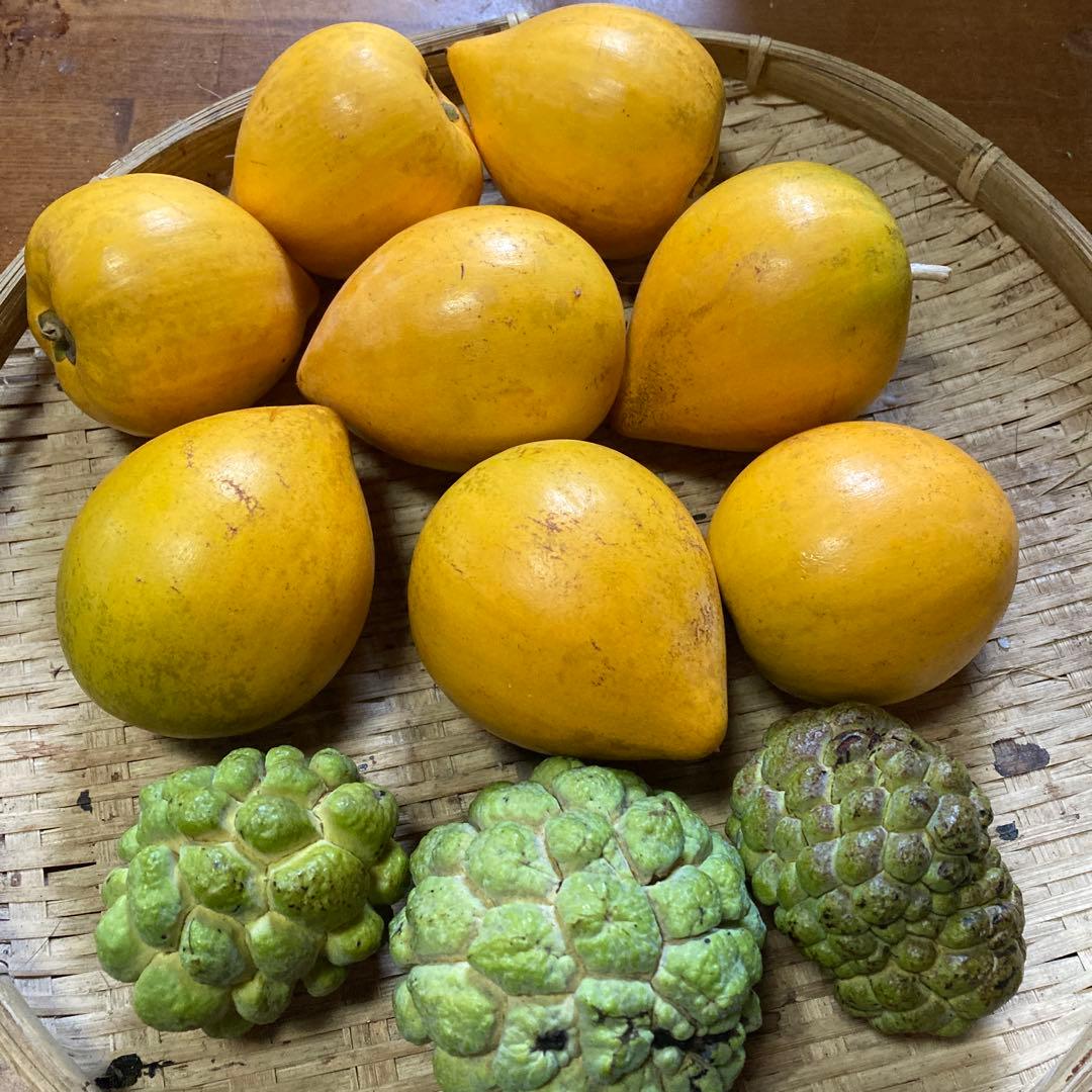 自然栽培　釈迦頭＆カニステル