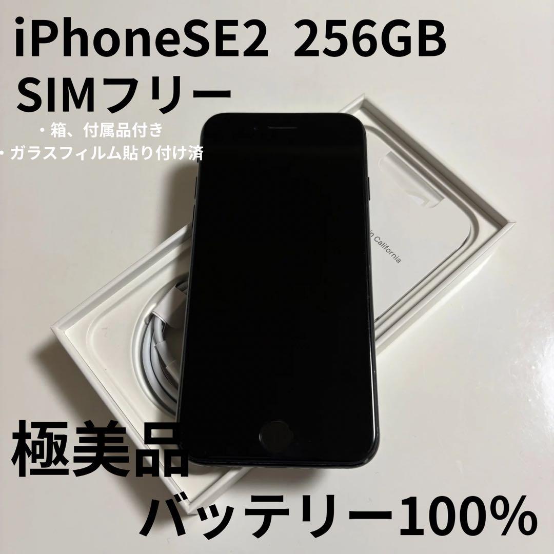 【極美品】iPhone SE (第2世代) 本体 256GB SIMフリー
