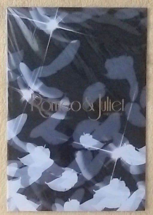 上田竜也 パンフレット『ロミオとジュリエット』