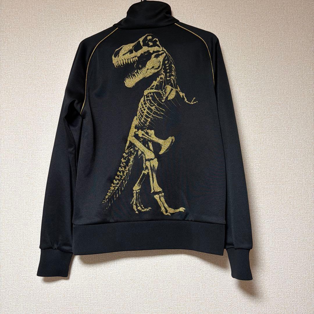 DRESSCAMP×champion ジャージ t-rex1型