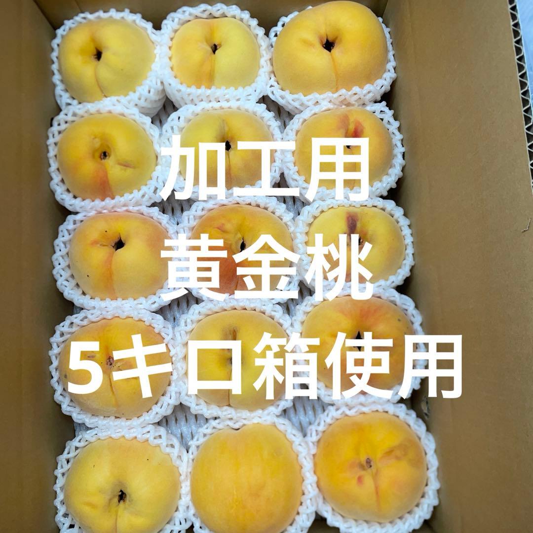山形県産　桃16加工用黄金桃5キロ箱使用