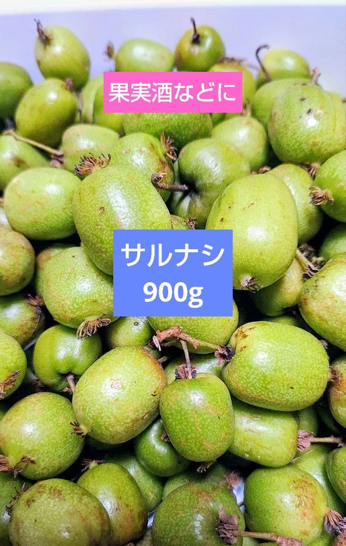 天然サルナシ900g果実酒用 中～大サイズ