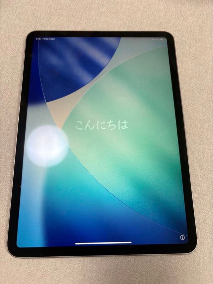 （極美品）Apple iPad Pro 本体　箱付き