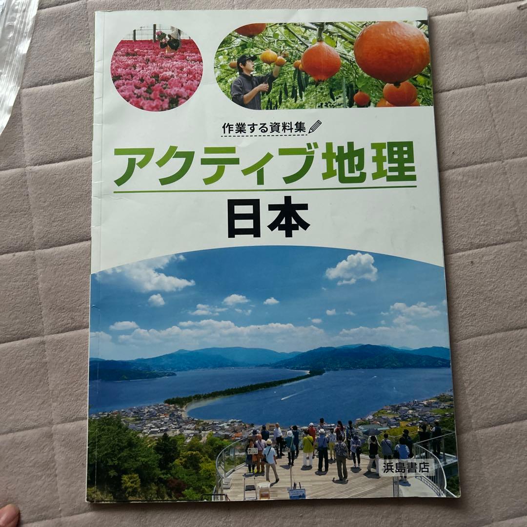 アクティブ地理 日本 浜島書店 学習参考書
