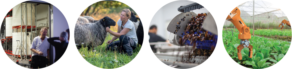 Partnerskap för innovation