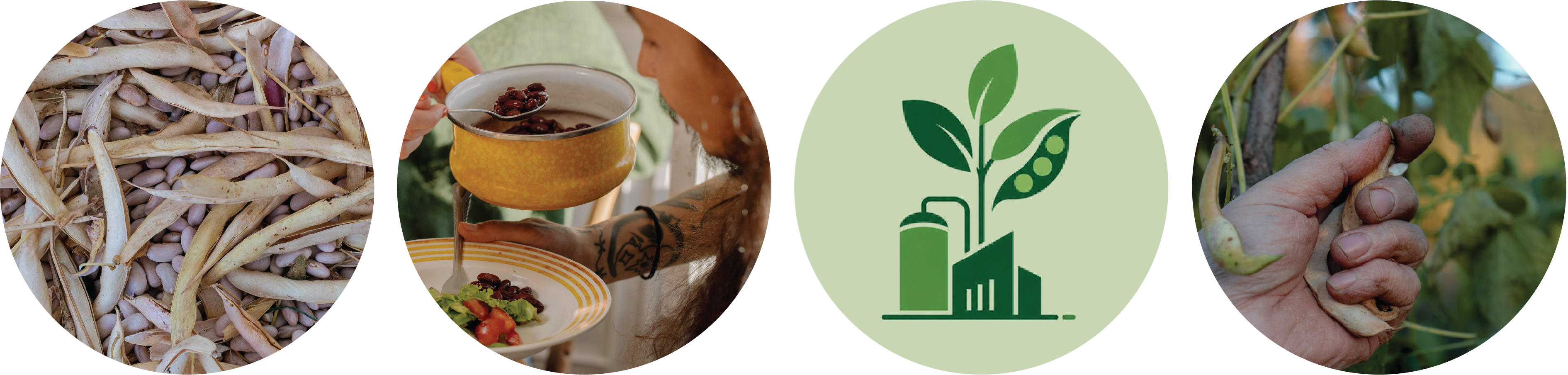 Projekt ROBUSTA