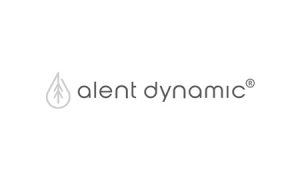 Alent Dynamic AB