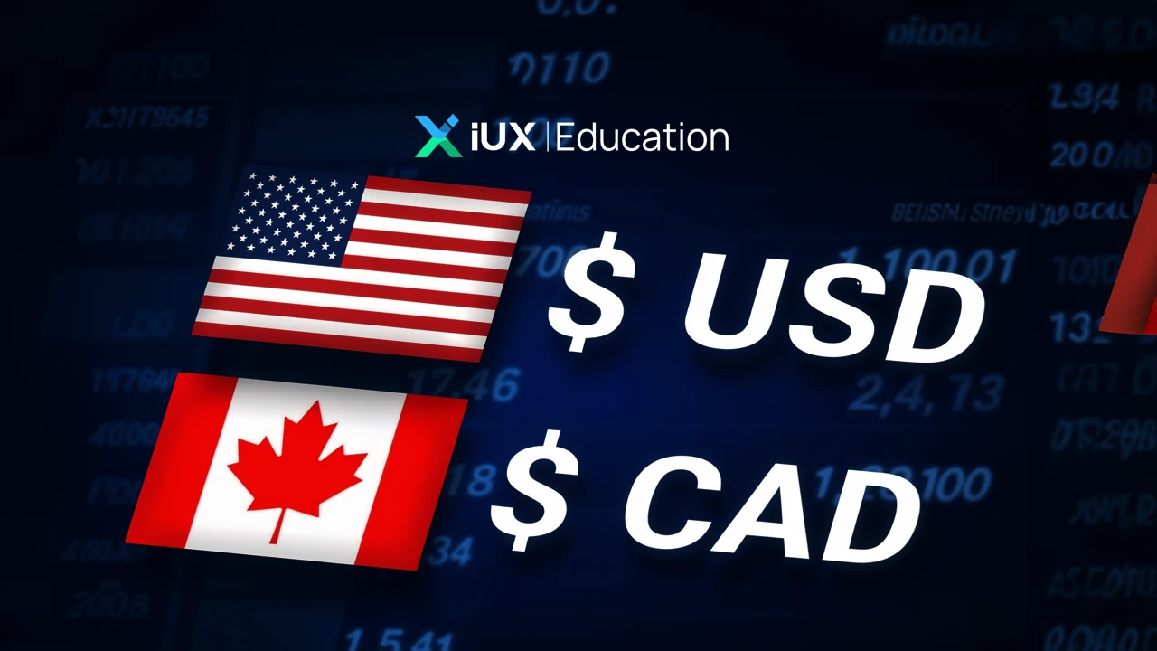 Bên Trong Thị Trường Forex – Cách USD/CAD Biến Động Theo Giá Dầu