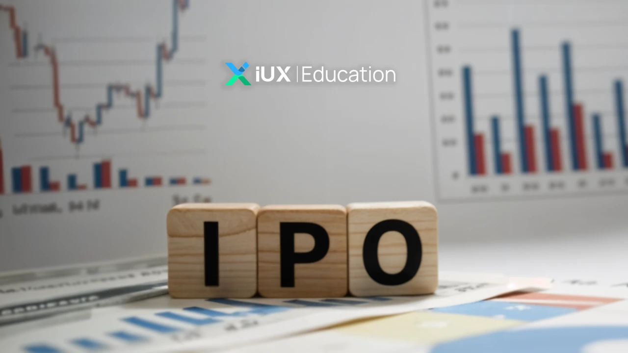 What is an IPO and Why Is Everyone Talking About It Before Investing?