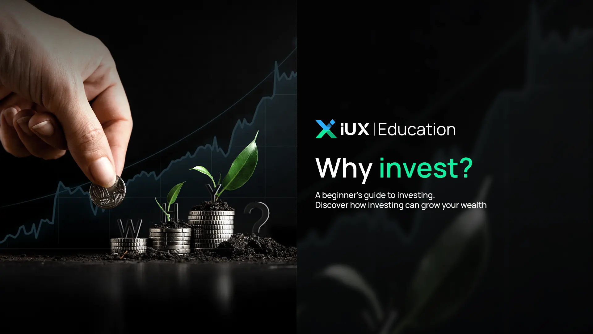 Why invest?