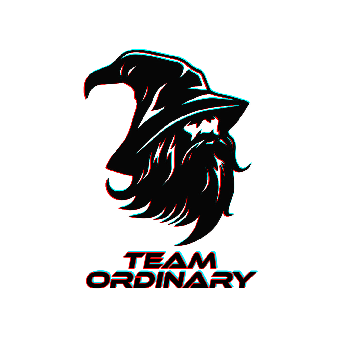 Team Ordinary logo