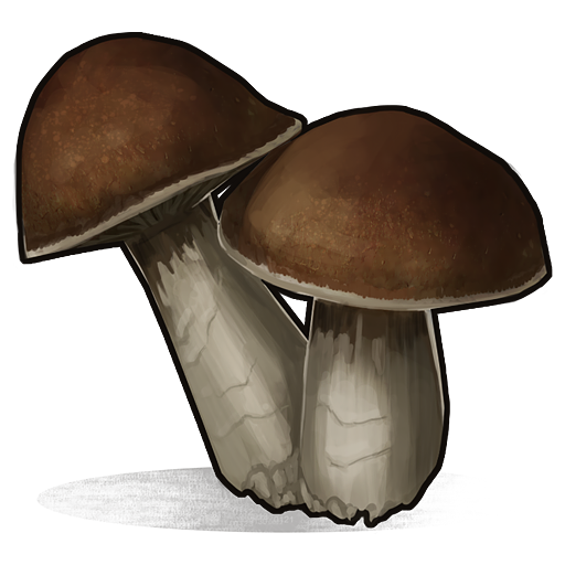 Mushroom Keepers logo