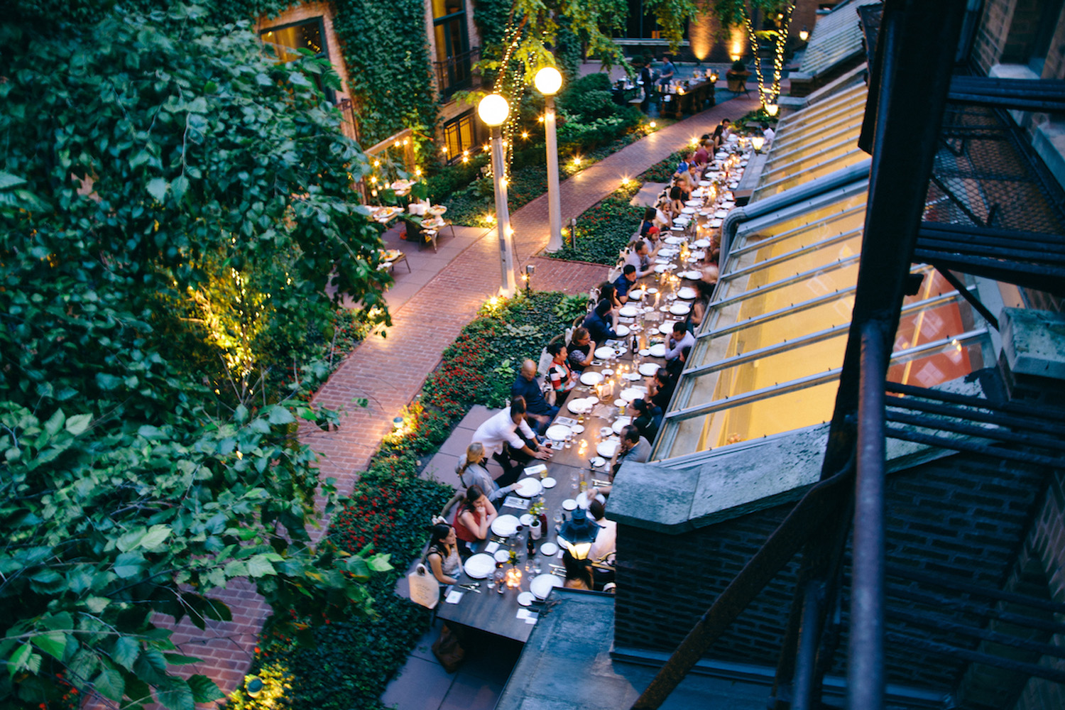 Dinner shot from above 