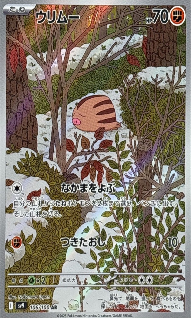 小山豬