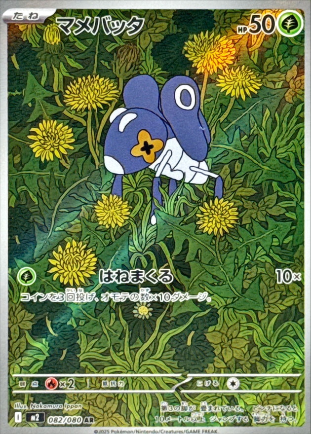 豆蟋蟀
