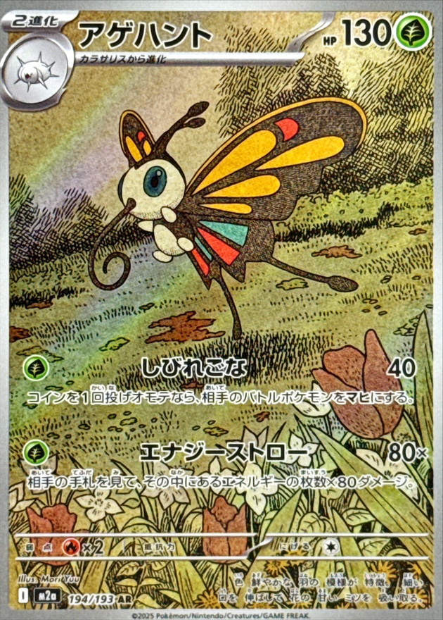 狩獵鳳蝶